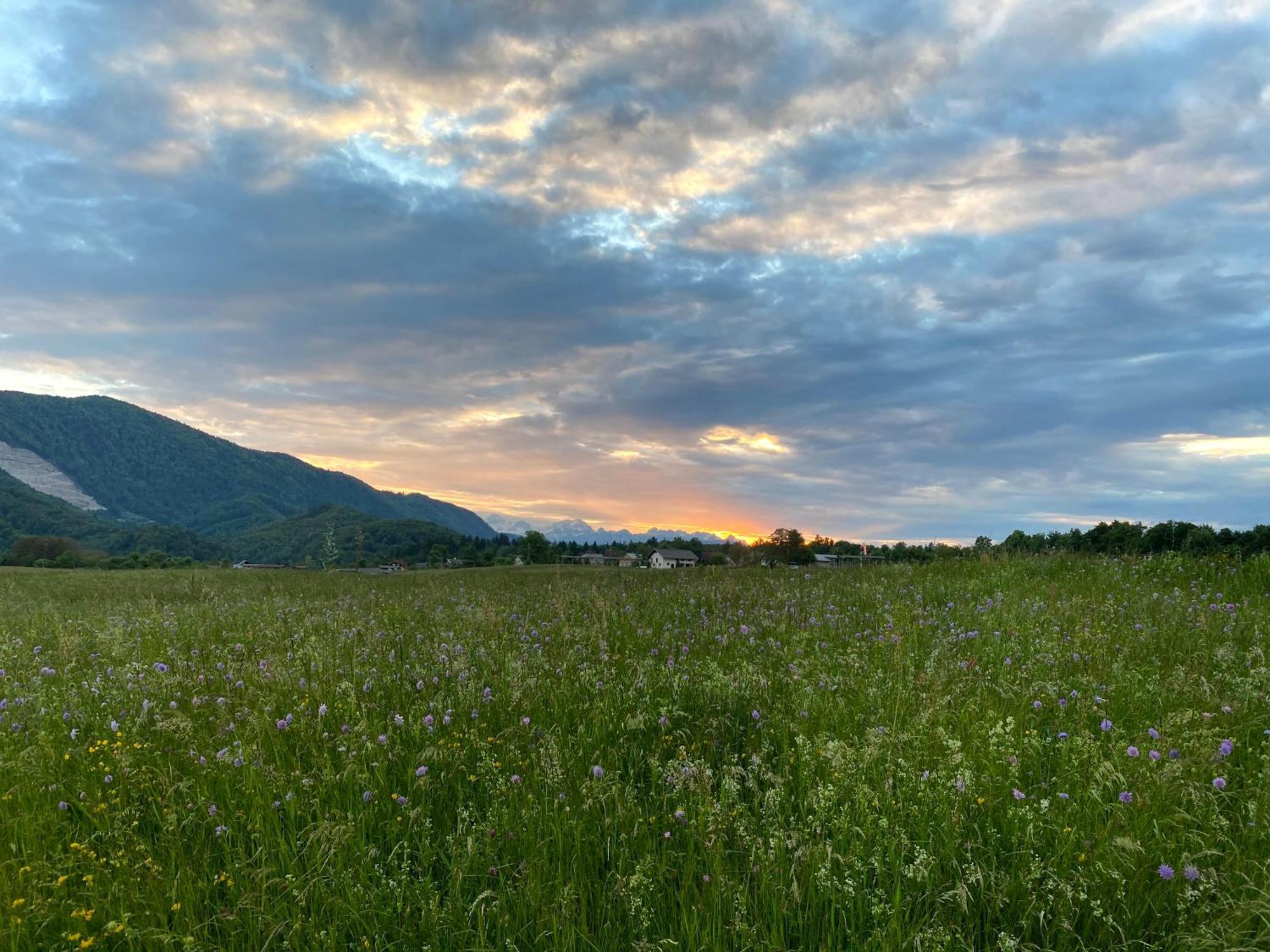 Luxury Holiday Home Near Lake Bled & The Alps Kropa ภายนอก รูปภาพ