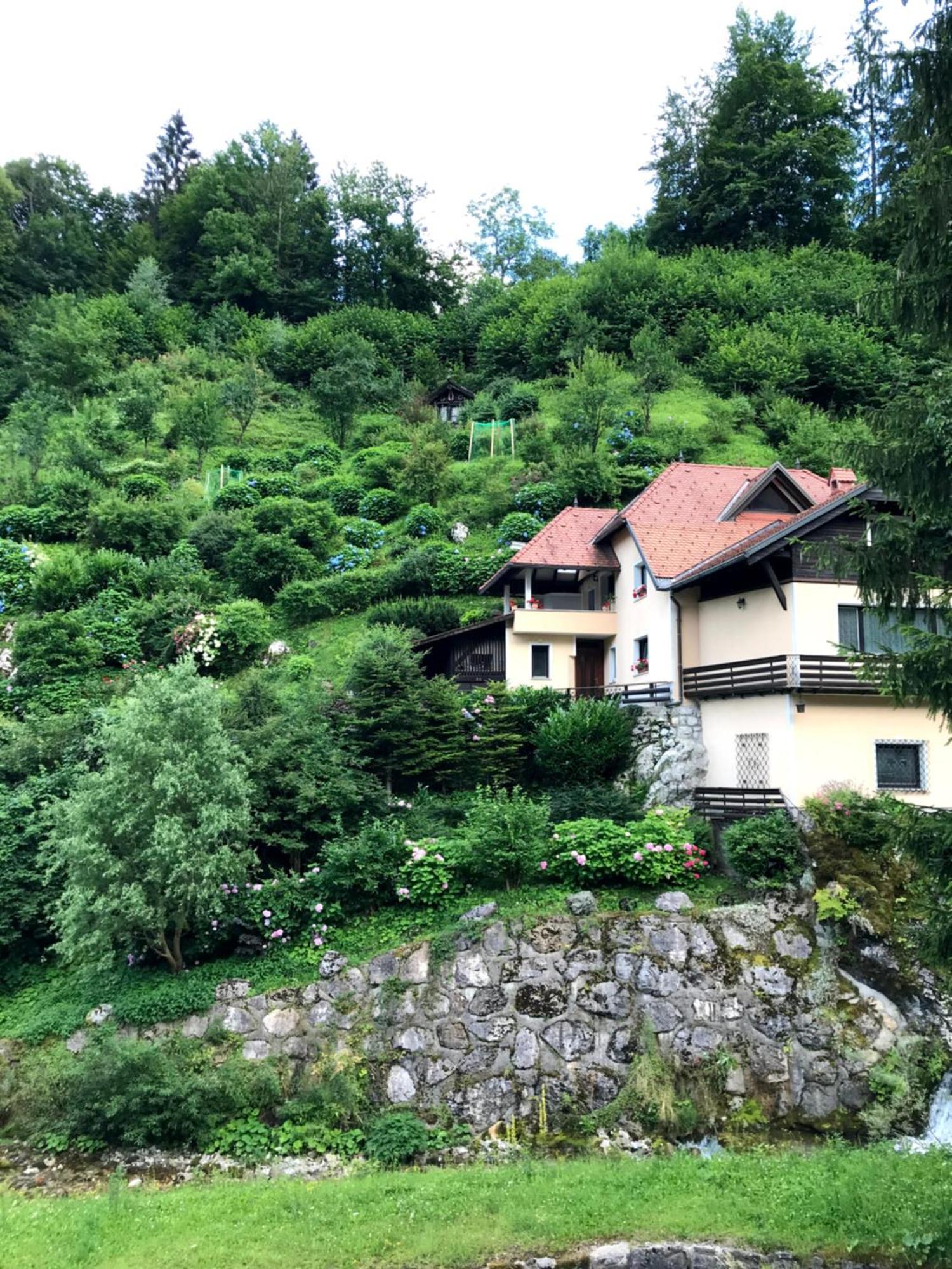 Luxury Holiday Home Near Lake Bled & The Alps Kropa ภายนอก รูปภาพ